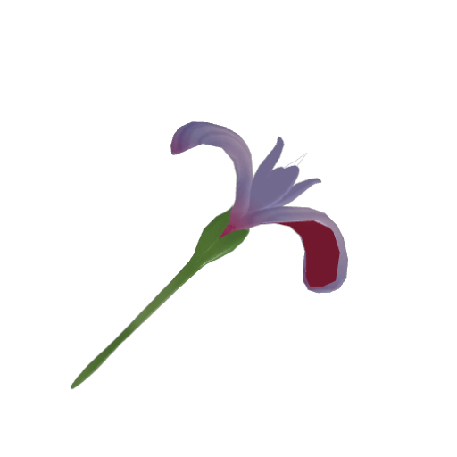 Iriscense hammer
